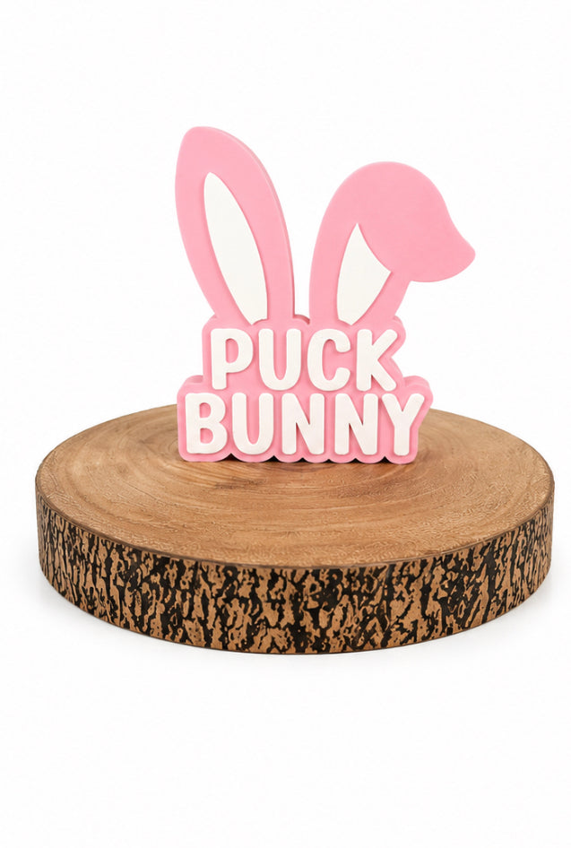 Puck Bunny Shelf Sign – 3D Printed Bookshelf Decor