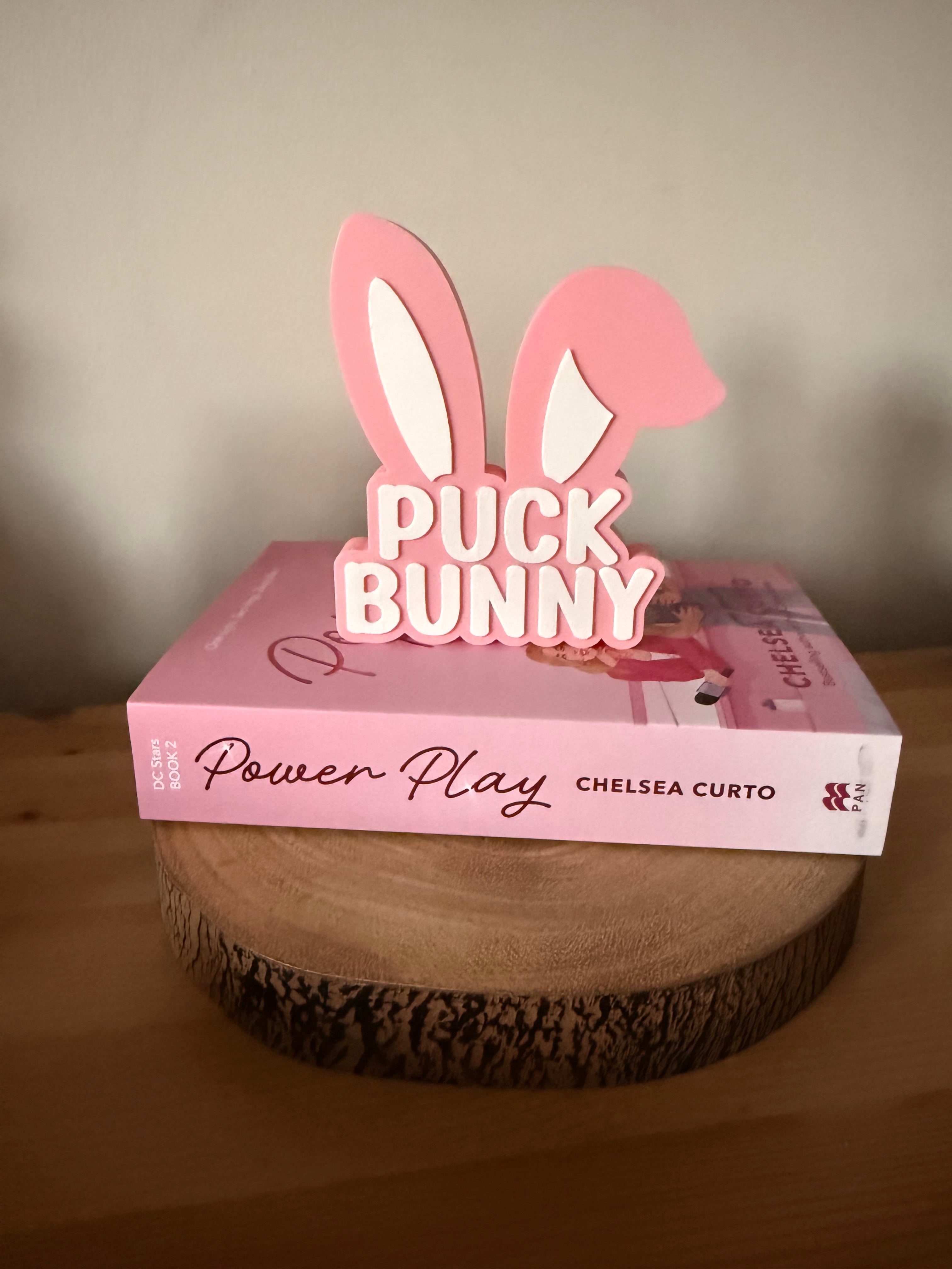 Puck Bunny Shelf Sign – 3D Printed Bookshelf Decor
