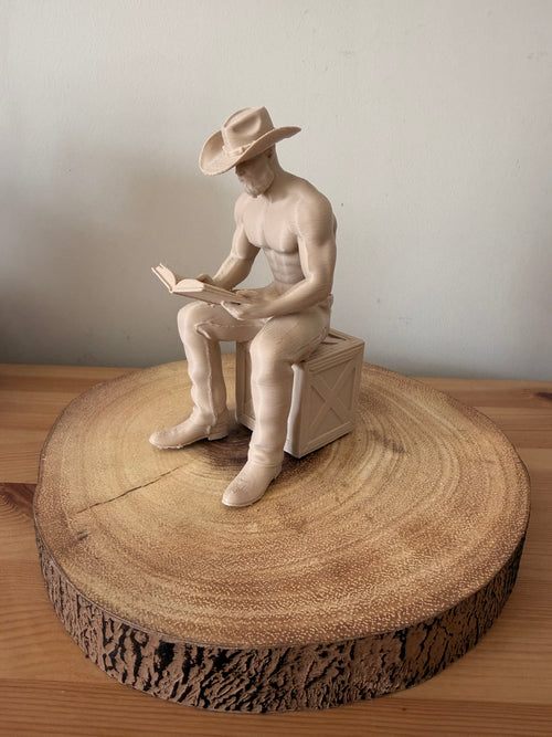 Cowboy MMC Reading Figure