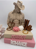 Cowboy Romance Book Stack